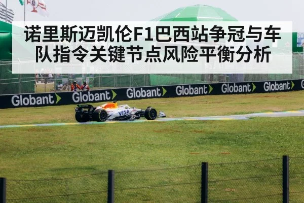 诺里斯迈凯伦F1巴西站争冠与车队指令关键节点风险平衡分析 - kaiyun